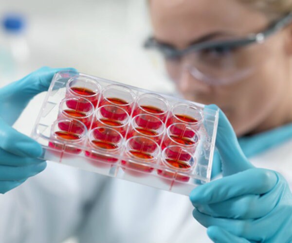 2 Nobel Judges to be Dismissed Over Stem-Cell Doctor Scandal