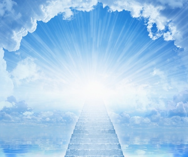 Newsmax Rising Bestsellers – Week of Dec. 22, 2025