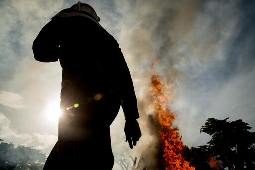 2,000 Tusks Aflame in Large Burn of Poached Wildlife Goods