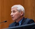 Fauci Urges China to Release Medical Records of Bat Cave Patients: Report