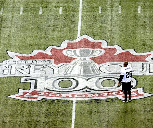 the canadian football league's grey cup on-field logo