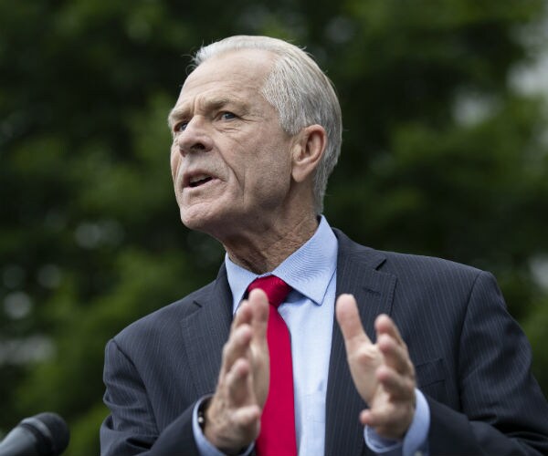 peter navarro gestures with his hands as he speaks to reporters
