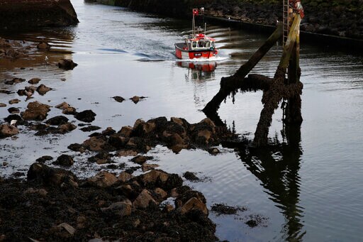 Promises of Brexit Bonanza Look Fishy for Seafood Industry