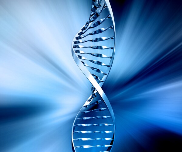 Fracture Healing Gene: Lawrence Livermore Lab Finds Key to Repairing Broken Bones