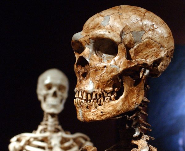 Neanderthal DNA: Today's Humans Have More Than Originally Thought