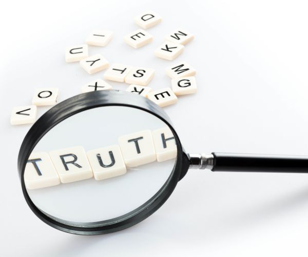 Polling and Panelists Vs. Reality