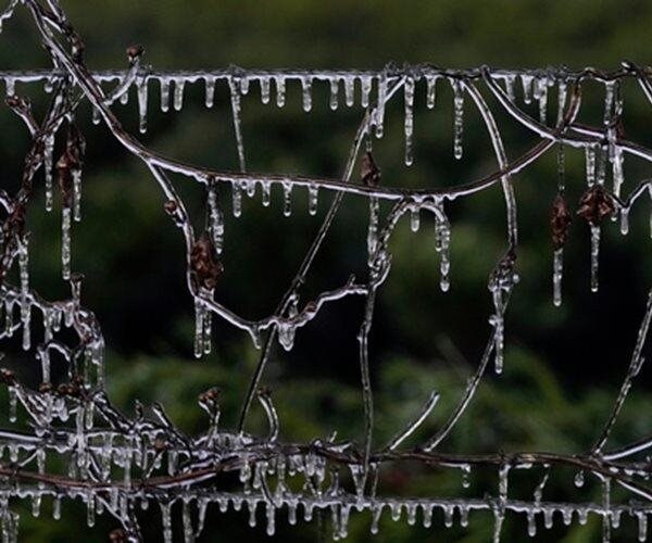 Winter Blast Could Bring Snow to Florida