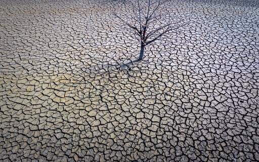 Drought Will Cause Crop Failures in Spain, Farmers Warn
