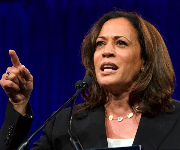 Wall Street Democrats Rejoice at Biden's Pick of Kamala Harris