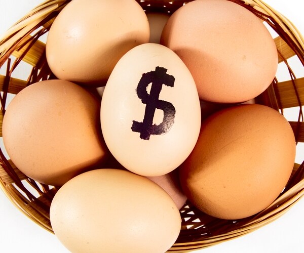 Most Investors Put All Their Eggs in Same Basket