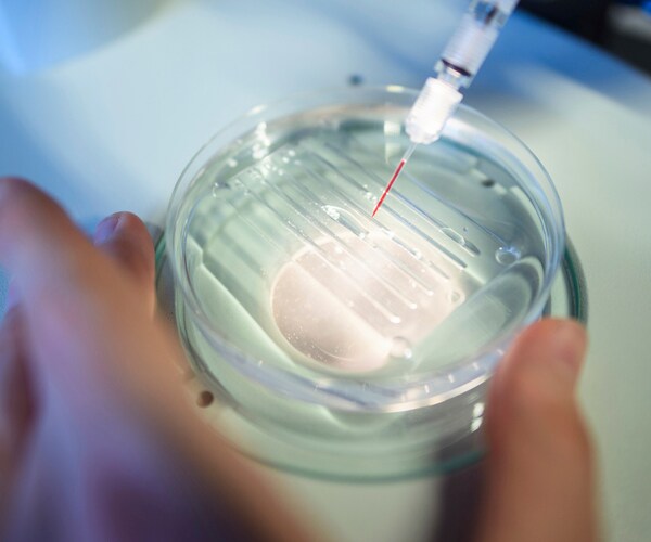 a researcher performs a crispr process in a german laboratory