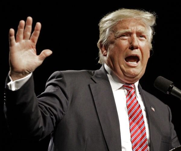 Michigan GOP Elector Launches Website Urging Vote for Trump