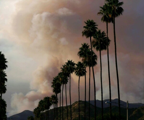 california wildfire is shown near palm trees