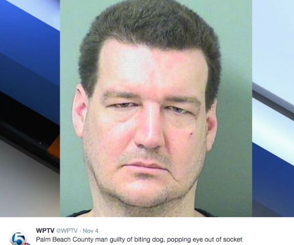 David Etzel Bites Dog, Pops Its Eye Out; Florida Man Sentenced to 1 Year