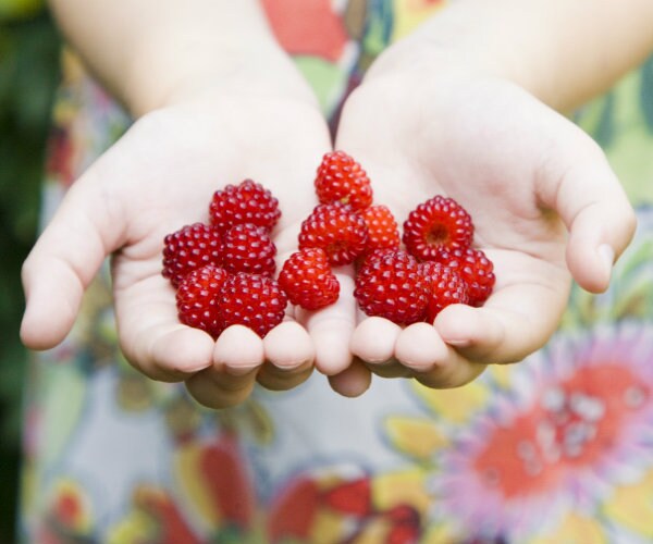 6 Heathy Summer Treats Even Diabetics Can Enjoy