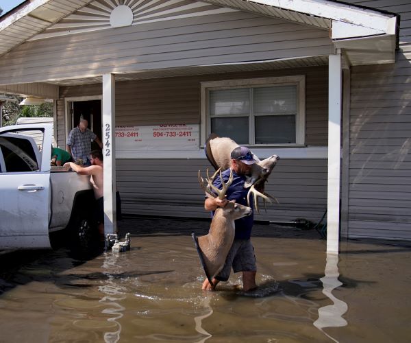 Extensive Ida Storm Damage Hurts Oil Industry Recovery Effort