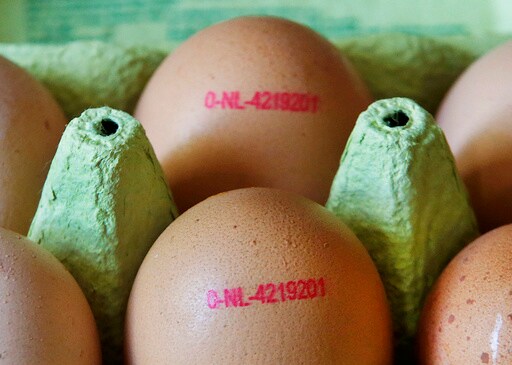In the EU's Inflation Crisis, the Humble Egg Takes the Cake
