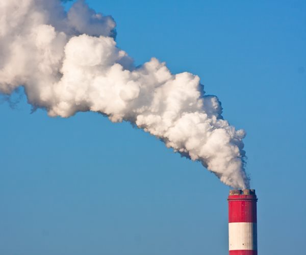 The Great Carbon Con