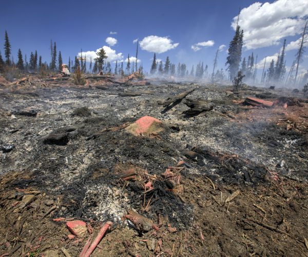 Wildfires Destroy Utah Homes, Prompt Colorado Evacuations