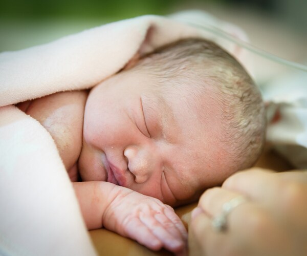 a newborn baby on its mother