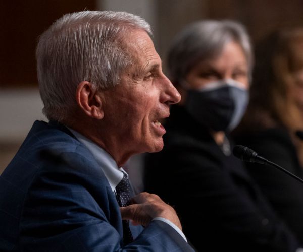 dr. anthony fauci sits and speaks to congress