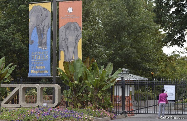 National Zoo Director: Animals Dying Because We Are Stretched Too Thin