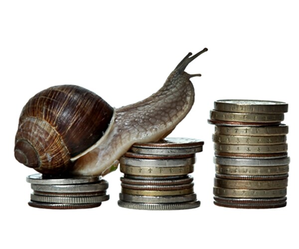 Expectations of Weaker Economy Unites Small Business Owners