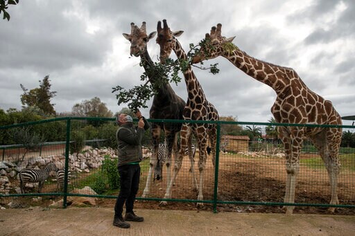 No Income, 2,000 Mouths to Feed: Lockdown Squeezes Greek Zoo