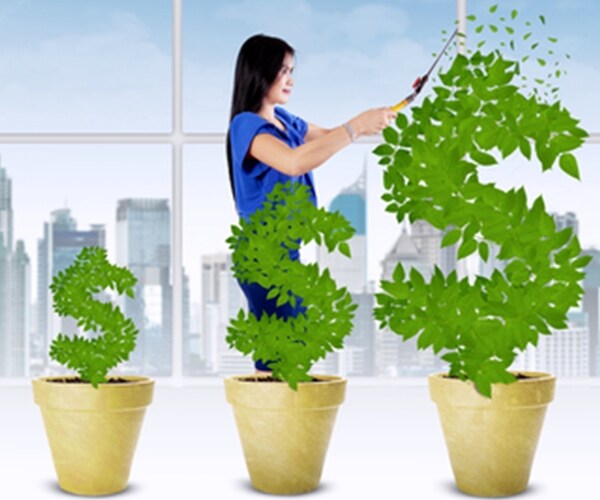 woman manage the growth of money tree