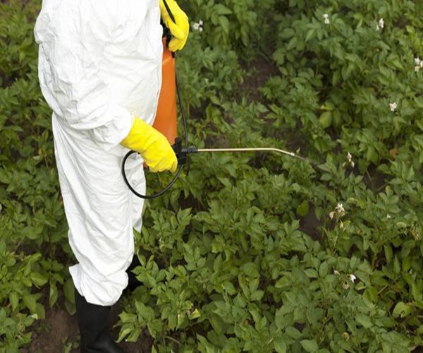 Senators Hope to Ban Brain-Damaging Pesticide