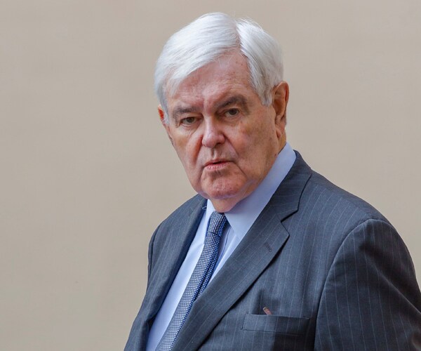 former house speaker newt gingrich