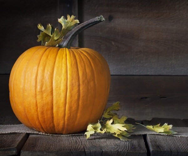 pumpkin sitting on a table with fall leaves