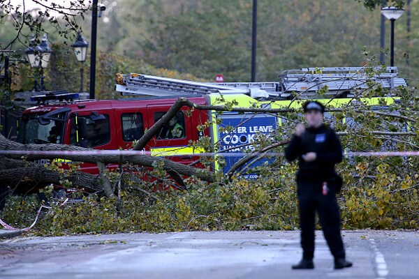 Hurricane Gonzalo Remnants Topple Trees in London; 1 Woman Killed