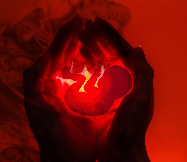 Michigan Court Blocks Enforcement of 1931 Abortion Ban by County Prosecutors 