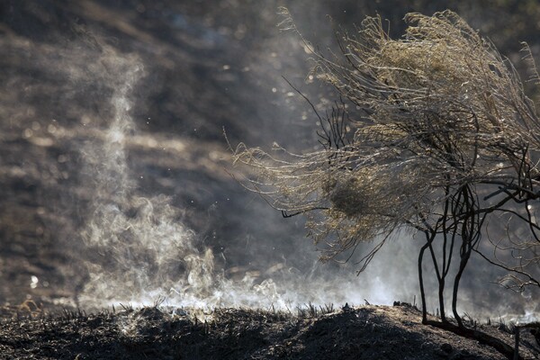 Sleepy Hollow Fire: Flames Fanned by Record-Breaking Heat Wave