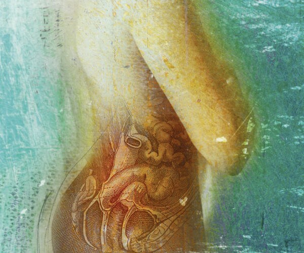 graphic shows the internal organs of an adult woman