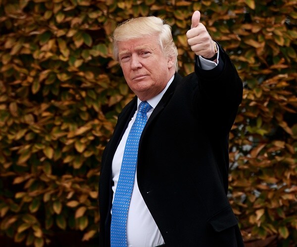 Dems See Referendum on Trump as a Winning Strategy