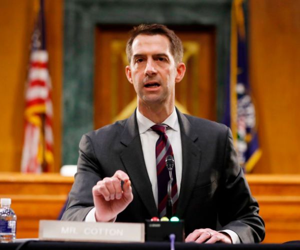 Sen. Cotton Seeks at Least 1-Year Prison Sentence for Statue Vandals