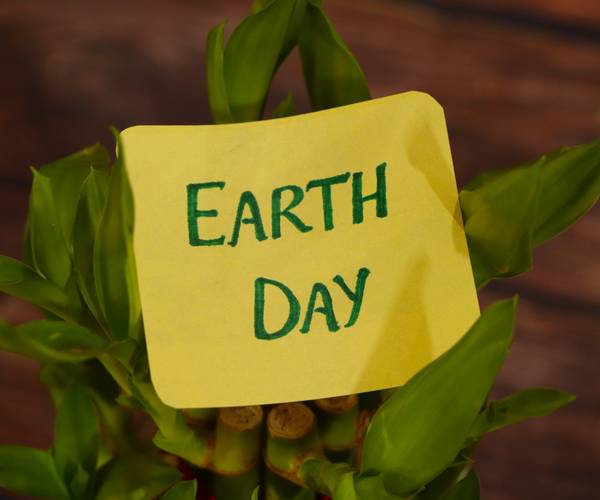earth day written on a note on a plant