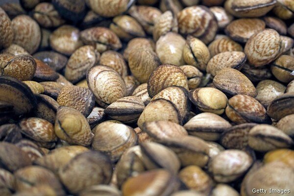 Nuts: Longer Life May Be Had By Eating Them, Study Suggests