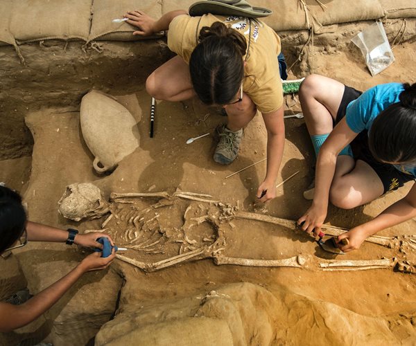 Philistine Genes Help Solve Biblical Mystery: Scholars 