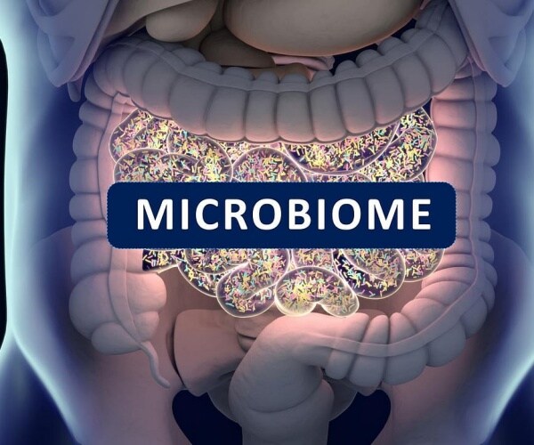 illustration of gut microbiome