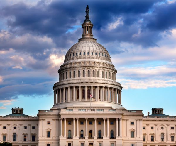 US a 'Flawed Democracy,' Economic Group Says, But Trump Not to Blame