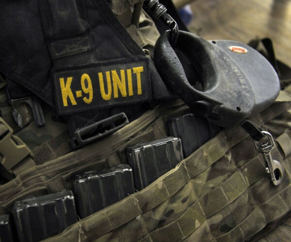 American Humane Association Honors 4 Military Dogs