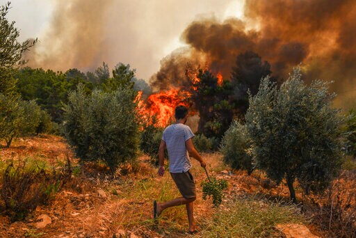 Death Toll Climbs to 6 in Turkey Wildfires