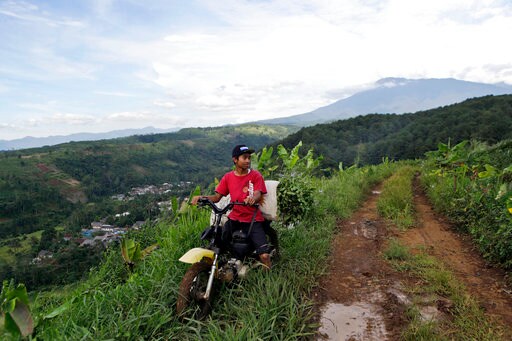 Fears for Indonesian Park's Rare Species as Trump Town Rises