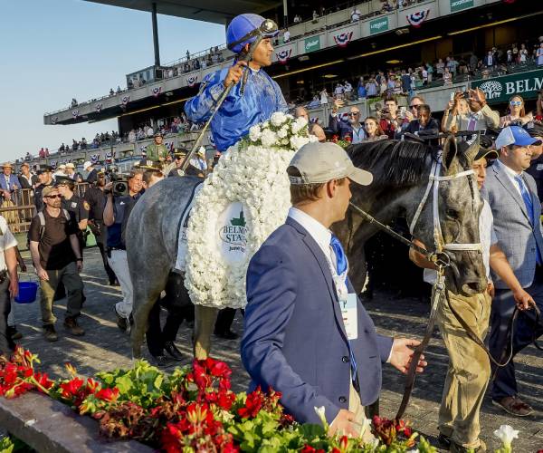 jocky sitting on horse and smiling to crowd of spectators