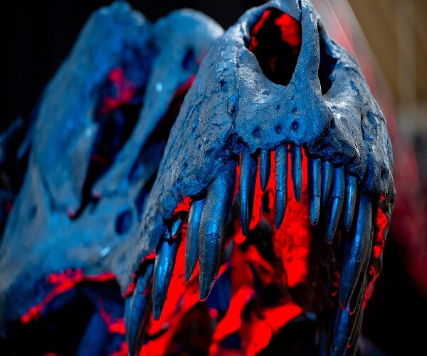 Animatronic T-Rex Fire Leads to Sudden Extinction