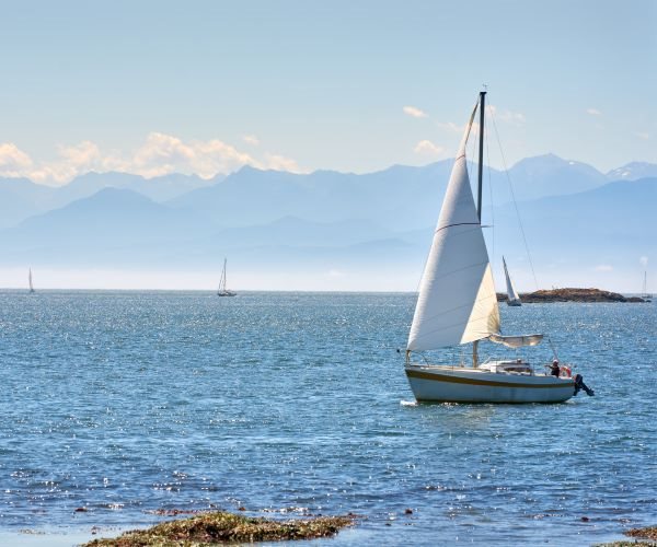 smooth sailing ahead