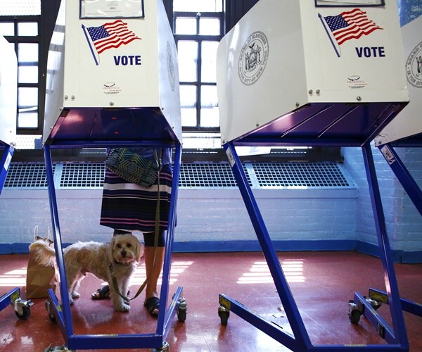 a dog stands under a voting booth
